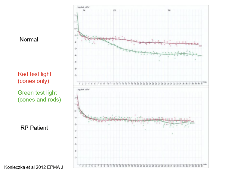 <ul><li><p>Dark adaptation can detect early rod dysfuction</p></li><li><p>Shows abnormalities in the rod-cone break (delayed) and threshold levels (rod plateau elevated)  </p></li><li><p>Useful for disease monitoring and progression and assessment </p></li></ul><p></p>