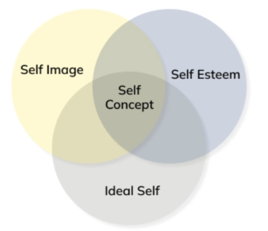 <p>Aspects of the self</p>