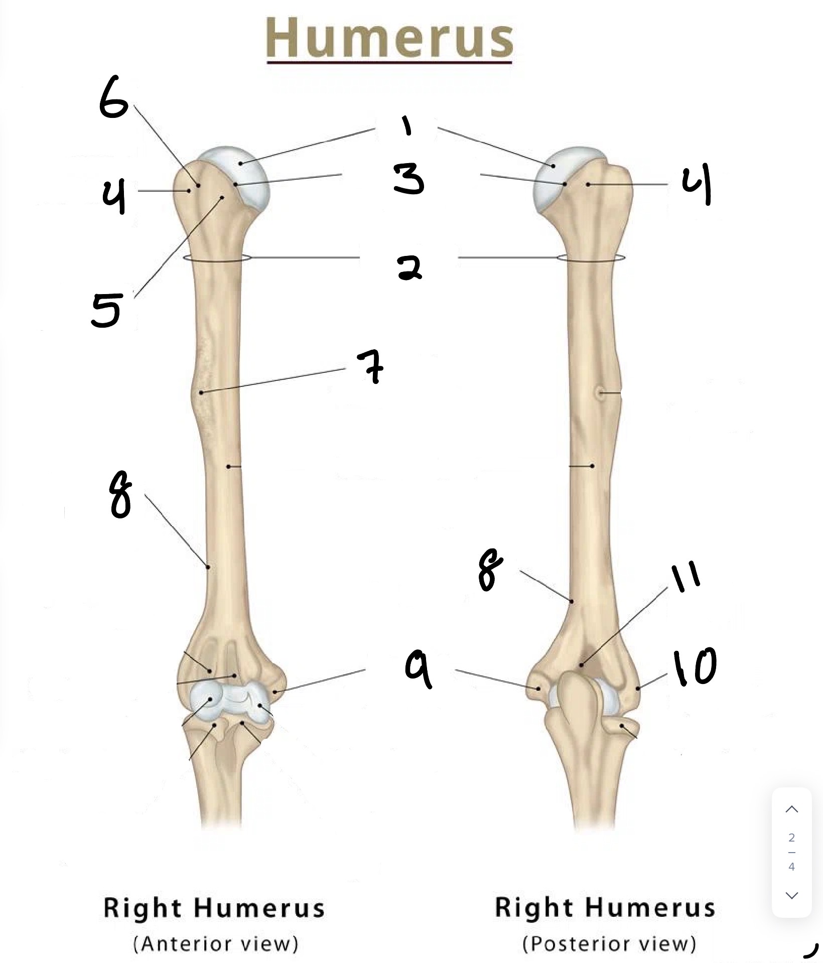 <p>3</p>