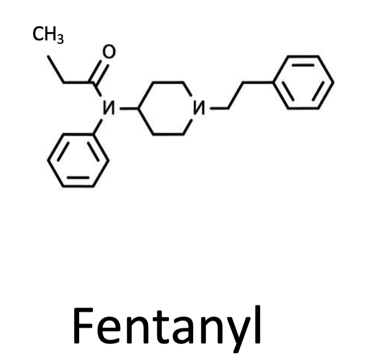 <p>Pick the specific region on the fentanyl molecule that might explain why fentanyl has more potent negative  effects than heroin </p>