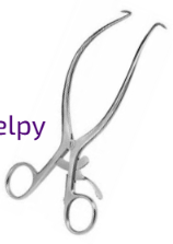 <p>GELPY</p>