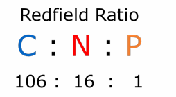 <p>Under these ratios from phytoplankton, you know resources are not limited. Any deviations and they are limited. </p>