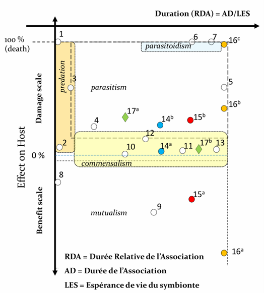 <p>Le numéro 12 correspond à quel type ?</p>
