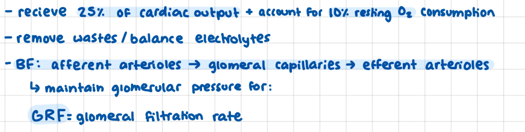 <p>25% Cardiac output</p><p>10% oxygen</p>