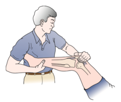 <p>Flex/extend knee while pressing patella medially and rotating tibia medially; checks plica dysfunction.</p>