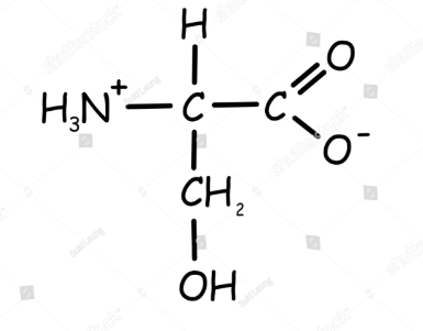 <p>What is this amino acid?</p>