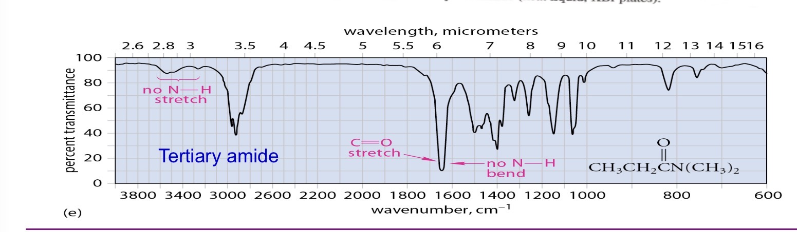 <p>Teritary amide no stretches </p>