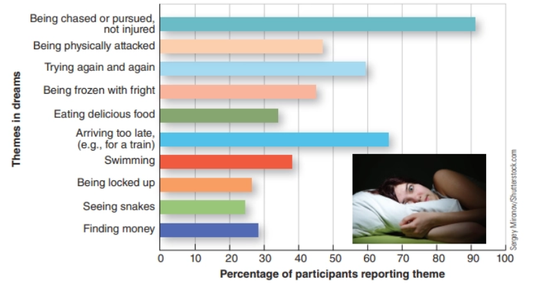 <p>Interpret this image. </p>