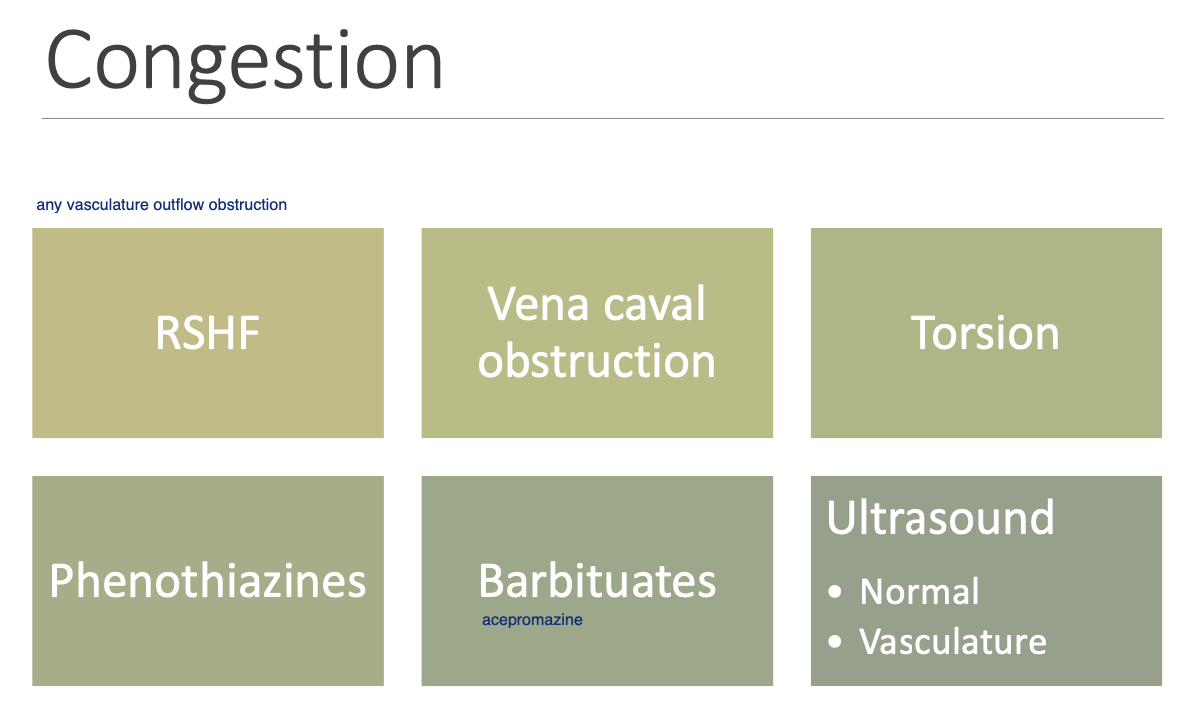 <p>normal echotexture, but may have distended vasculature.</p>
