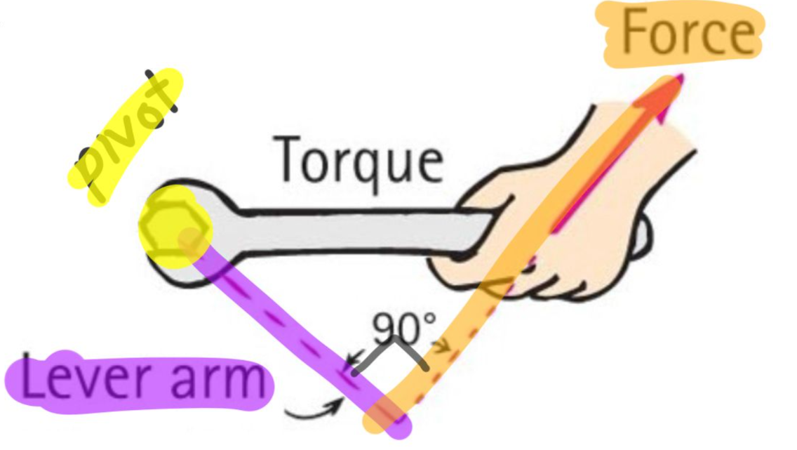 <p>the PERPENDICULAR distance from the pivot to where the force is applied.</p>