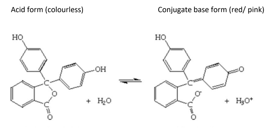 <p>acid form (colourless) <span data-name="left_right_arrow" data-type="emoji">↔</span> conjugate base form (red/pink)</p>