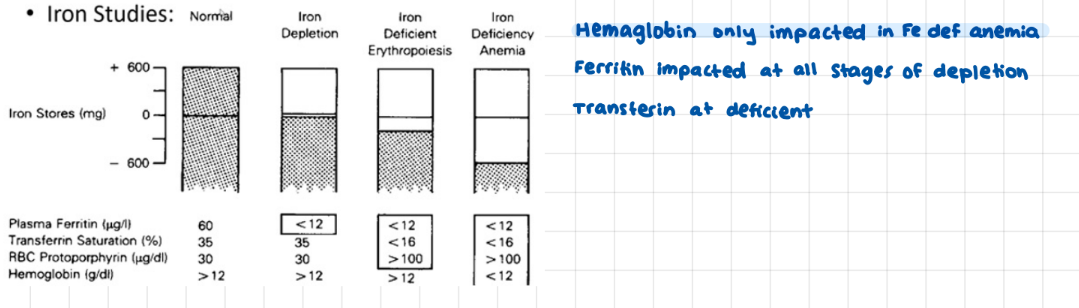 <p>ferratin, transferin, hemaglobin</p><p>(further along match further along steps)</p>