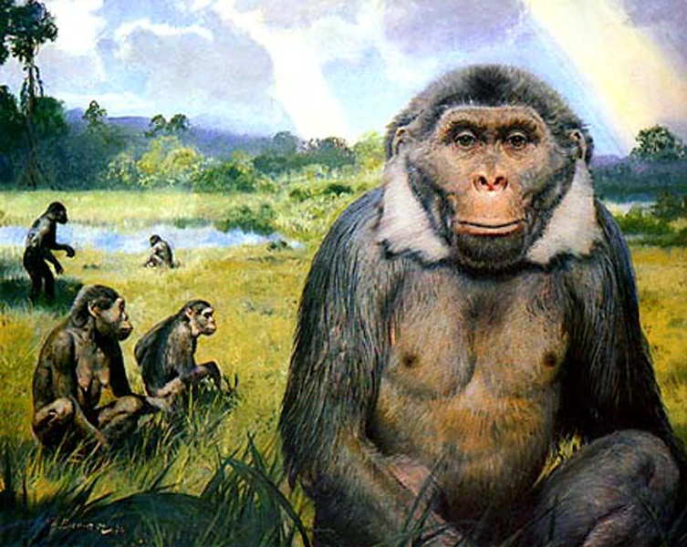 <p>Sivapithecus</p>