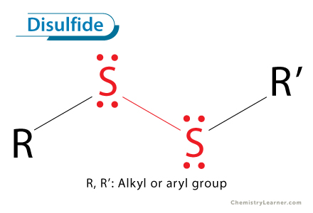 <p>two sulfurs connected together, with carbons on the outside</p><p>C — S — S — C</p>