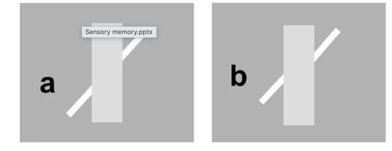 <p>Sugita &amp; colleagues studied sensory memory duration using perceptual illusions</p><p><span style="font-size: calc(var(--scale-factor)*20.18px);">In the following stimuli, most people perceive (a) w/the white lines separate, &amp; (b) as a single white line behind a block</span></p><p><span style="font-size: calc(var(--scale-factor)*20.18px);">In fact, in (a) the white lines would connect to each other, but in (b) they wouldn’t</span></p><p><span style="font-size: calc(var(--scale-factor)*20.21px);">&amp; the discontinuity of the lines in (b) is seen clearly when the block is absent</span></p>