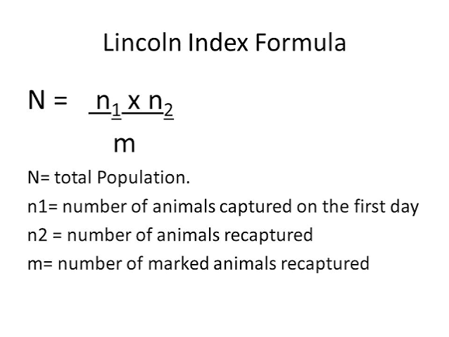 <p>Population size estimate = (M*N)/R </p><p>M is number of organisms captured and marked for the 1st sample</p><p>N is total captured 2nd capture</p><p>R is number of organisms recaptured so that were marked in 2nd capture</p>