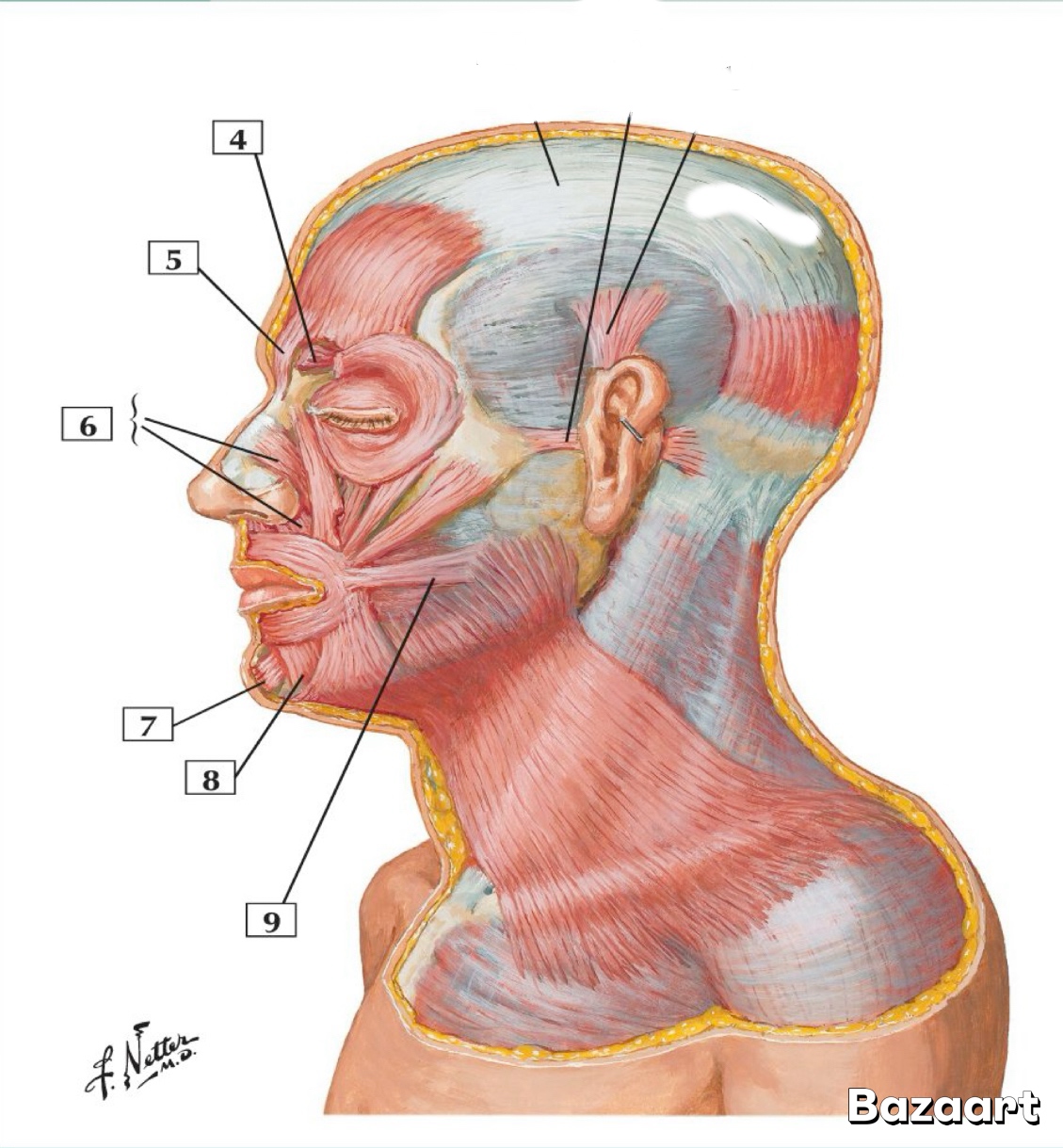 <p>Risório </p>