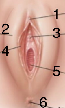 <p>4</p>