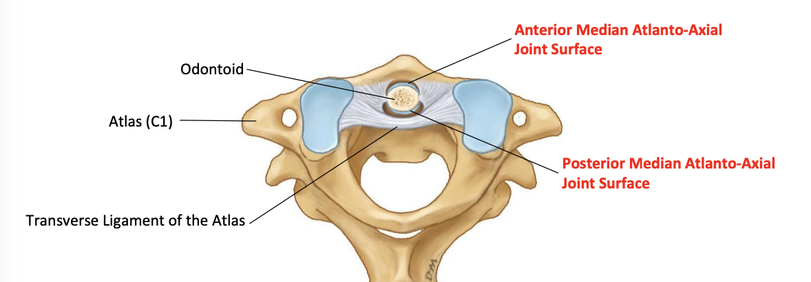 <p>Median atlanto-axial joint classification</p>