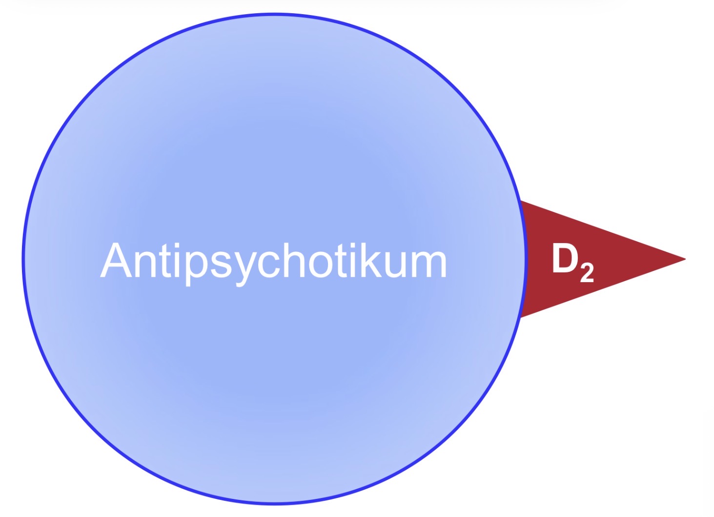 <p>Antipsychotikum blockiert Dopaminrezeptor</p>