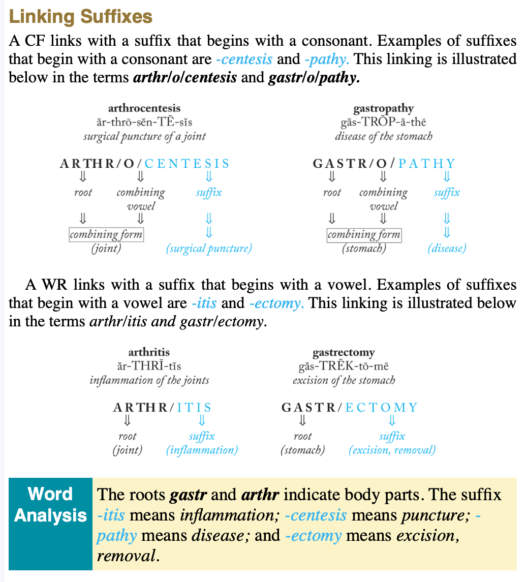<p>A CF links with a suffix that begins with a consonant. </p>