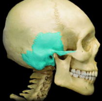 <p></p>