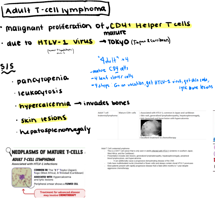 <p>Adult t-cell lymphoma</p>