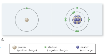 <ol><li><p>Protons ( + charge) in nucleus </p></li><li><p>Neutrons ( no charge)  in nucleus </p></li><li><p>Electrons (- charge) found in orbitals surrounding nucleus </p></li></ol><p></p>