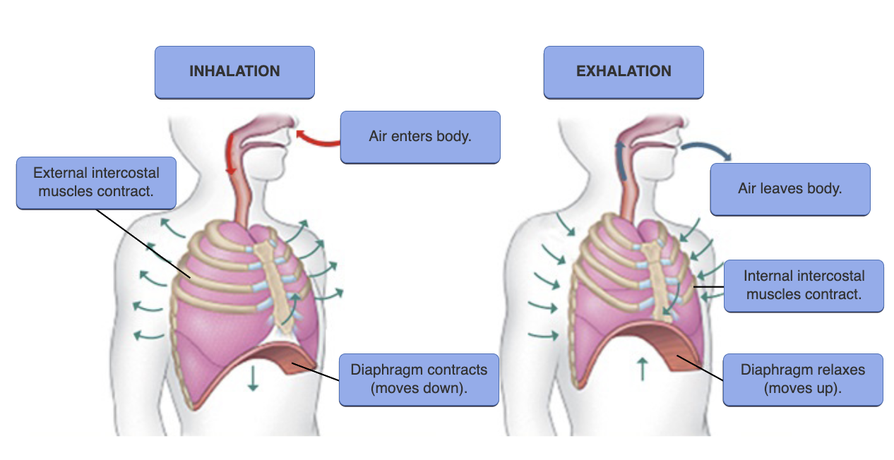 <p>just know</p><p></p>