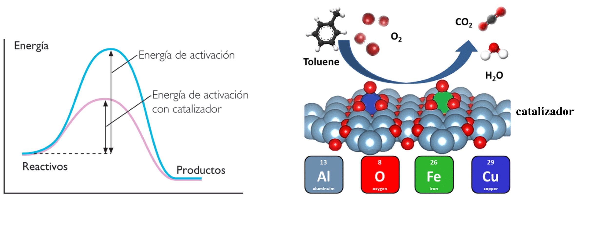 <p><span><strong>Presencia de un catalizador</strong></span>: Incrementa la velocidad de una reacción química sin afectar la reacción neta. La rapidez de la reacción aumenta debido a la disminución de la energía de activación por el catalizador.</p>