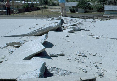 <p>What disaster is this?</p>