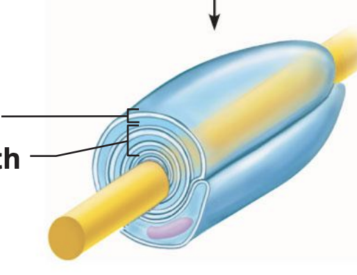 knowt flashcard image