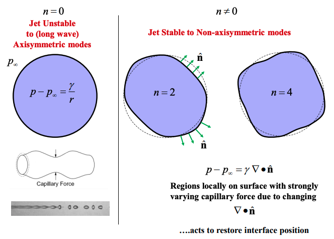 <ul><li><p>Only unstable for long wave axisymmetric modes</p></li><li><p>Stable for azimuthal modes, strongly varying capillary force restore interface position.</p></li></ul><p></p><p><strong>Axisymmetric n = 0</strong> </p><p>$$s^2 = \frac{\gamma}{\rho a^3} \frac{I_n'(\alpha)}{I_n(\alpha)} \alpha (1 - \alpha^2 - n^2) \quad \text{where } \alpha = ka$$ $$ (1-\alpha^2-n^2) $$ </p><p>then (1-α²) is positive if α (ka) < 1</p><p></p><p><strong>Azimuthal n ≠ 0</strong></p><p>We have a boundary condition on n, so it must take integer values due to the rotation symmetry</p><p>immediately this results in $$(1-\alpha^2-n^2)$$ being negative</p><p>this results in a stable jet.</p><p></p><p>We can see these modes on the right</p><p></p>