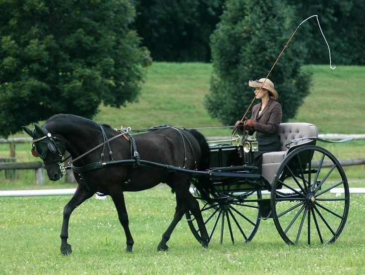 <p>carriage</p><p class="is-empty is-editor-empty has-focus">/ˈkærɪdʒ/</p>