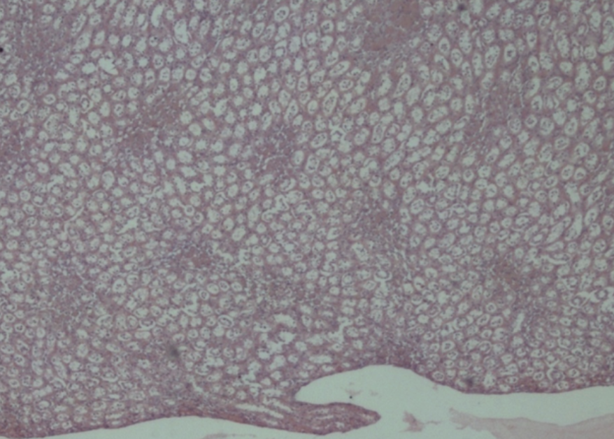 <p>what is this a sample of?</p>