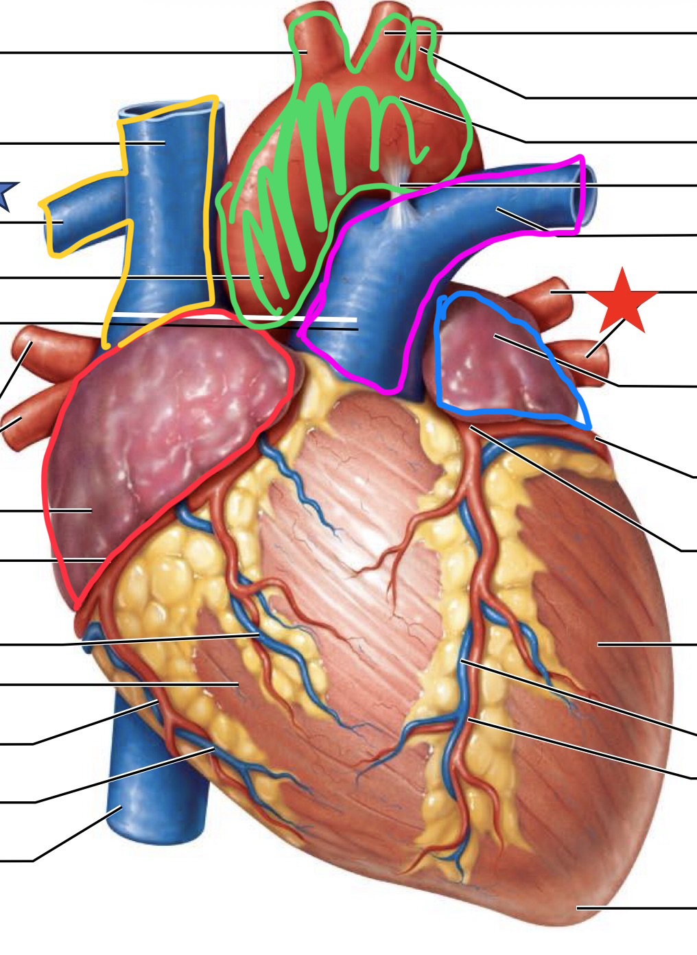 <p>What is highlighted in the green?</p>