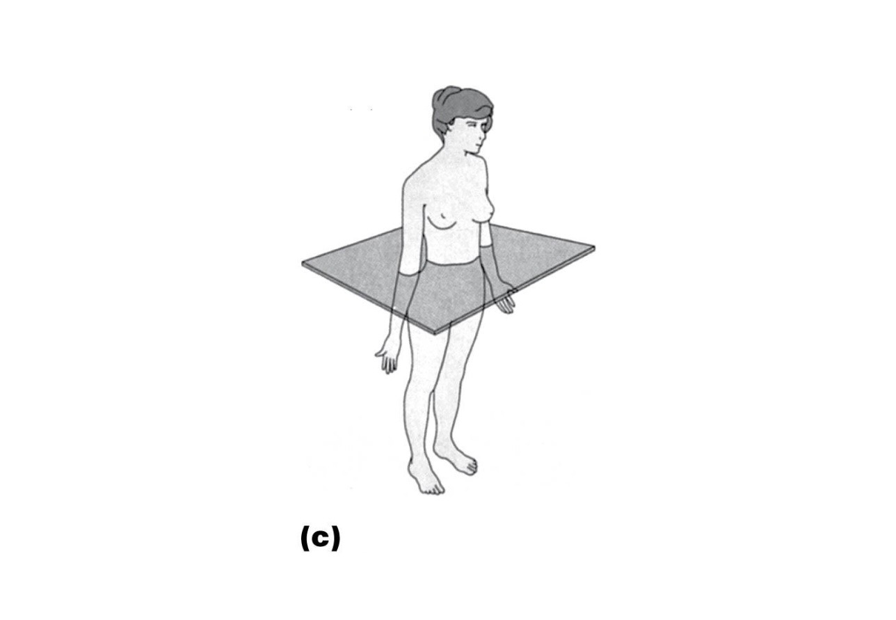 term image