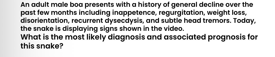 <p>Answer the MCQ</p>