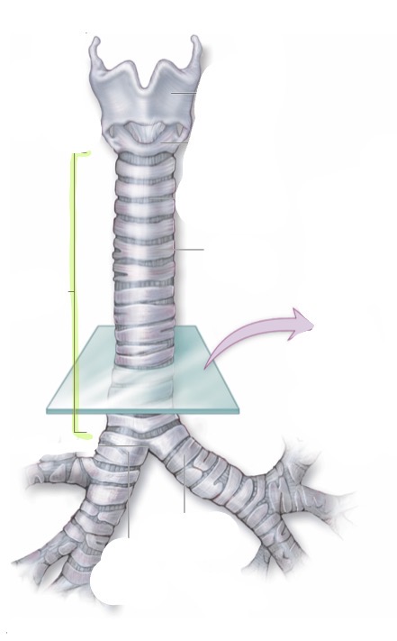 <p>what is this </p>