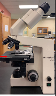 <p>Name this part of the microscope and function</p>