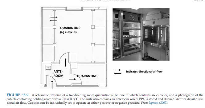 <p>Maintained at negative air pressure to rest of facility</p>
