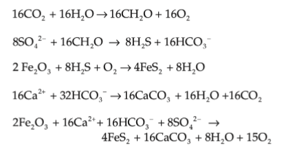 <p>Label each of the following reactions and explain why it is important for contributing O2 to the atmosphere.</p>