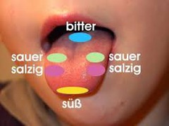 <p>flavor; taste</p>