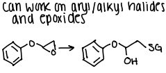 <p>What electrophiles work as substrates for glutathione S‑transferases (GST)?</p>