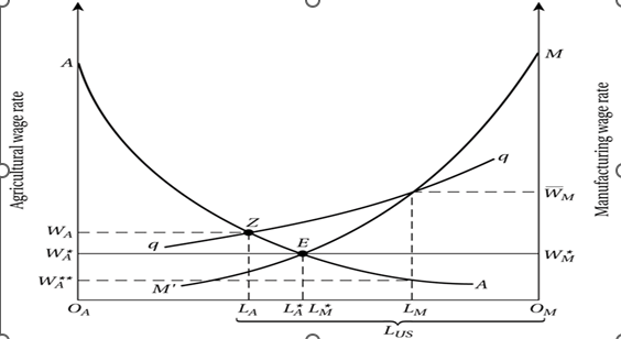 <p class="Paragraph SCXW68629570 BCX8" style="text-align: left;"><span style="line-height: 20.85px;">Horizontal Axis&nbsp;&nbsp;</span></p><ol><li><p class="Paragraph SCXW68629570 BCX8" style="text-align: left;"><span style="line-height: 20.85px;">L(a): Labor in agriculture (rural)&nbsp;</span></p></li></ol><ol><li><p class="Paragraph SCXW68629570 BCX8" style="text-align: left;"><span style="line-height: 20.85px;">L(a)*: rural labor after migration&nbsp;</span></p></li></ol><ol start="2"><li><p class="Paragraph SCXW68629570 BCX8" style="text-align: left;"><span style="line-height: 20.85px;">L(m): Labor in manufacturing (urban)&nbsp;</span></p></li></ol><ol><li><p class="Paragraph SCXW68629570 BCX8" style="text-align: left;"><span style="line-height: 20.85px;">L(m)*: equilibrium urban labor&nbsp;</span></p></li></ol><ol start="3"><li><p class="Paragraph SCXW68629570 BCX8" style="text-align: left;"><span style="line-height: 20.85px;">L(us): Total labor supply&nbsp;</span></p></li></ol><p class="Paragraph SCXW68629570 BCX8" style="text-align: left;"><span style="line-height: 20.85px;">Wage Variables&nbsp;</span></p><ol><li><p class="Paragraph SCXW68629570 BCX8" style="text-align: left;"><span style="line-height: 20.85px;">W(a): Actual rural wage&nbsp;&nbsp;</span></p></li></ol><ol><li><p class="Paragraph SCXW68629570 BCX8" style="text-align: left;"><span style="line-height: 20.85px;">W(a)*,**: alternative rural wage levels at different labor allocations&nbsp;</span></p></li></ol><ol start="2"><li><p class="Paragraph SCXW68629570 BCX8" style="text-align: left;"><span style="line-height: 20.85px;">W(m): Actual urban manufacturing wage&nbsp;</span></p></li></ol><ol><li><p class="Paragraph SCXW68629570 BCX8" style="text-align: left;"><span style="line-height: 20.85px;">W(m)*: equilibrium urban wage&nbsp;</span></p></li></ol><ol start="3"><li><p class="Paragraph SCXW68629570 BCX8" style="text-align: left;"><span style="line-height: 20.85px;">Wm (with line): fixed or minimum wage in urban center (often set above equilibrium causing unemployment)&nbsp;</span></p></li></ol><ol start="3"><li><p class="Paragraph SCXW68629570 BCX8" style="text-align: left;"><span style="line-height: 20.85px;">Curves&nbsp;</span></p></li></ol><ol><li><p class="Paragraph SCXW68629570 BCX8" style="text-align: left;"><span style="line-height: 20.85px;">A (downward sloping): agricultural wage amount (as more workers stay in agriculture, wages fall)&nbsp;</span></p></li></ol><ol start="2"><li><p class="Paragraph SCXW68629570 BCX8" style="text-align: left;"><span style="line-height: 20.85px;">M (upward sloping): Manufacturing wage amount (shows how wages relate to employment in urban sector)&nbsp;</span></p></li></ol><ol start="3"><li><p class="Paragraph SCXW68629570 BCX8" style="text-align: left;"><span style="line-height: 20.85px;">Q (upward sloping): Expected urban wage line&nbsp;</span></p></li></ol><p class="Paragraph SCXW68629570 BCX8" style="text-align: left;"><span style="line-height: 20.85px;">&nbsp;</span></p>