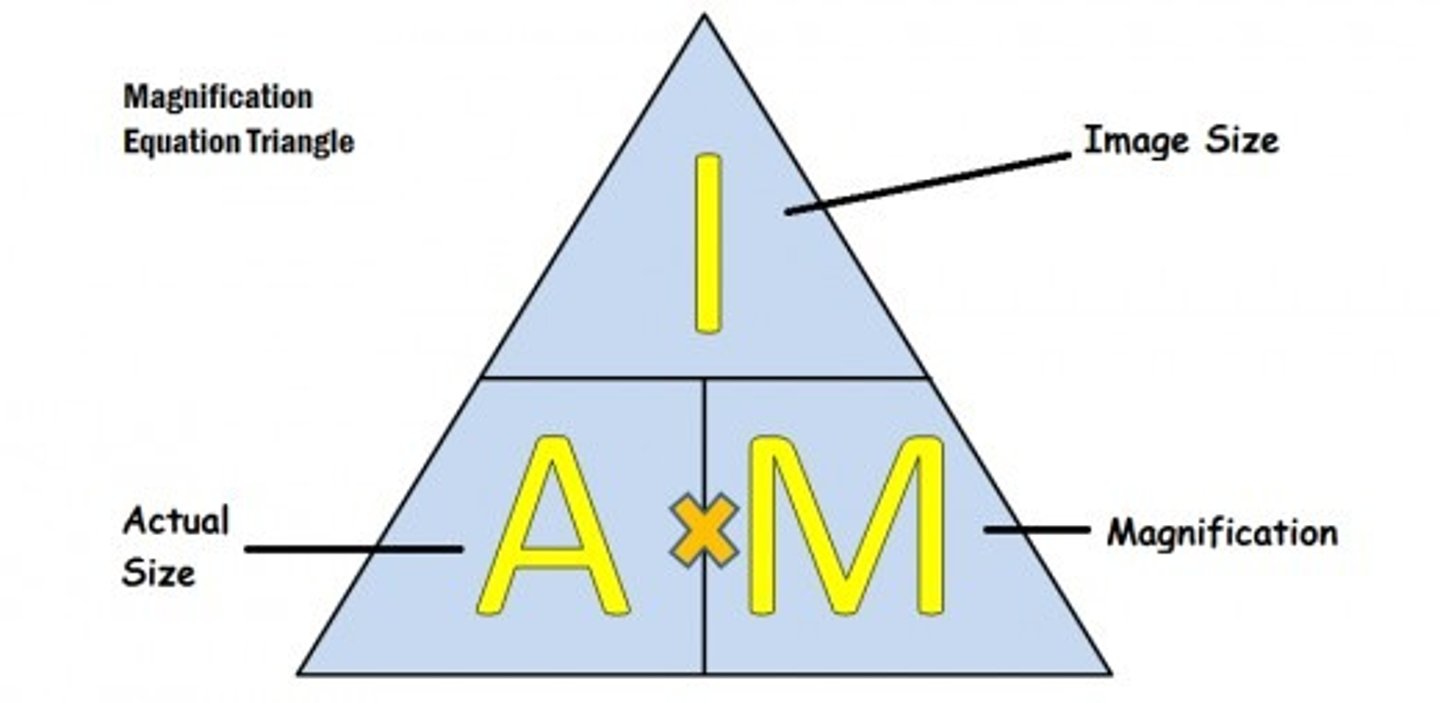 <p>size of image divided by actual size of the object</p>
