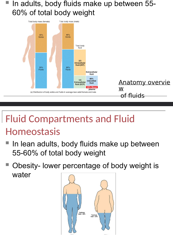 <p>in adults- 55-60%</p><p>infants- 75% (in premature it is higher)</p><p>older persons- decreased intracellular fluid</p>