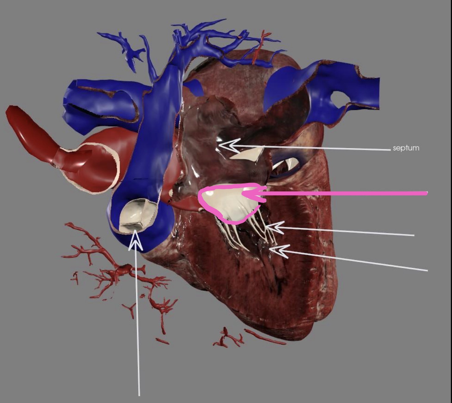 <p>What’s the highlighted area?</p>