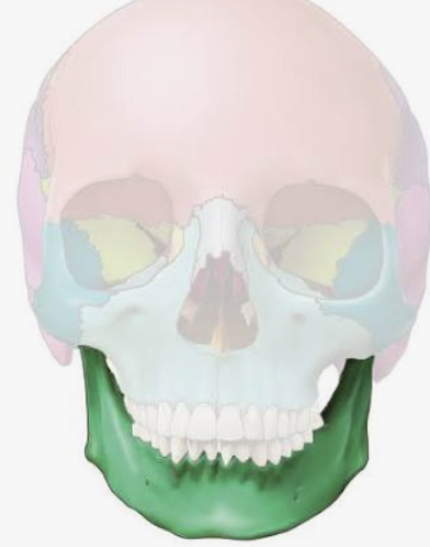 <p>Which bone is this?</p>