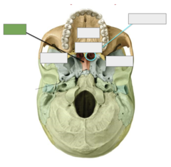 <p>This is the</p>